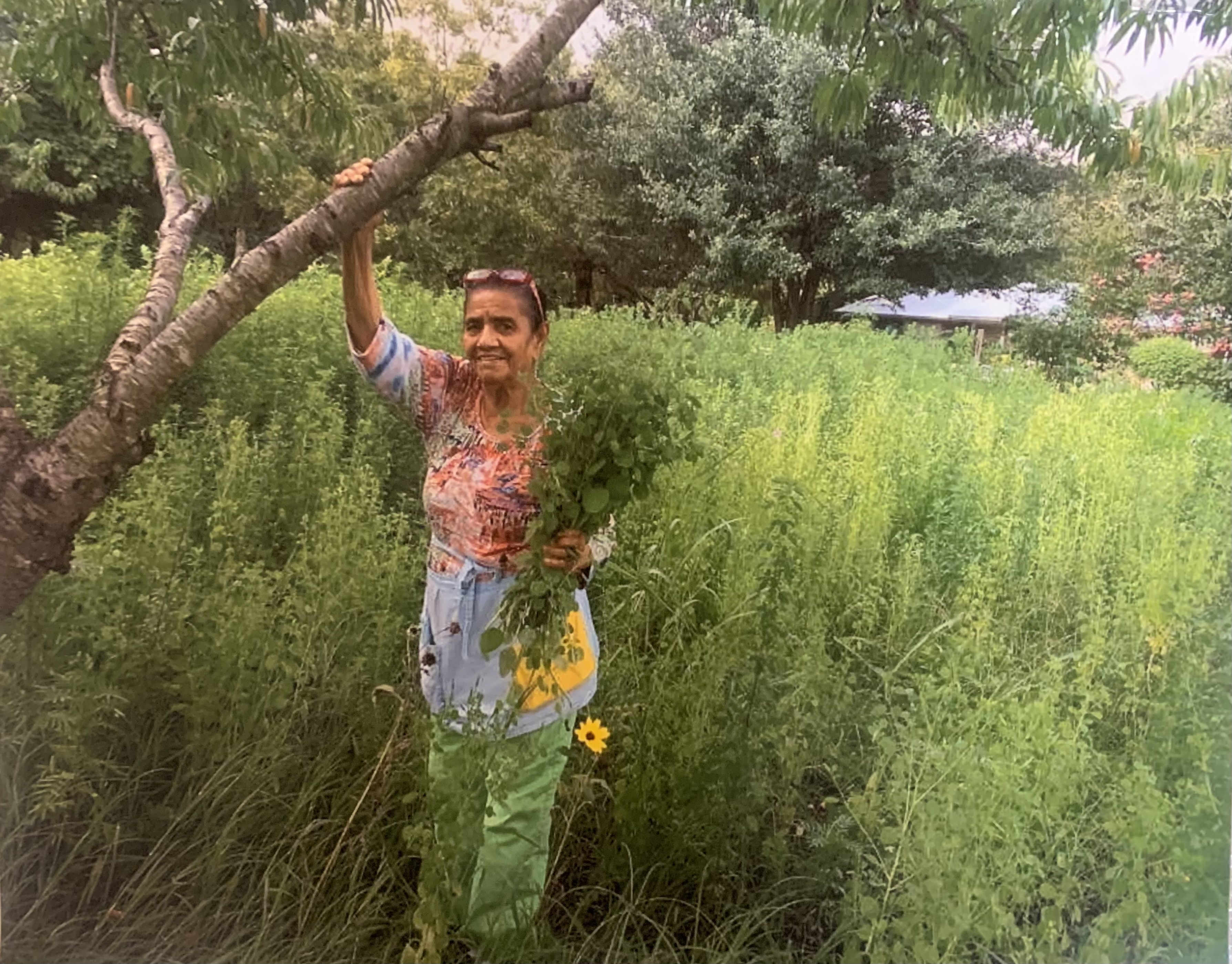 Ino Sanchez and a feild of PAPALOS